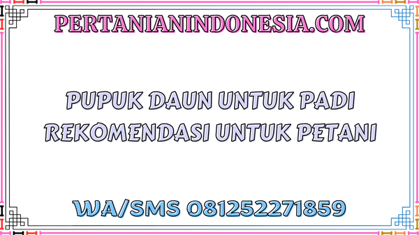 Pupuk Daun Untuk Padi Rekomendasi Untuk Petani
